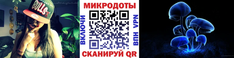 купить наркоту  Гатчина  Псилоцибиновые грибы мицелий 