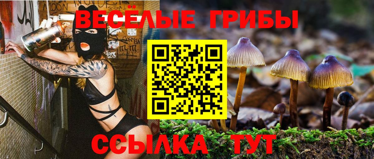 Галлюциногенные грибы Psilocybe  Вход с VPN  Псилоцибиновые грибы Psilocybe  Гатчина 