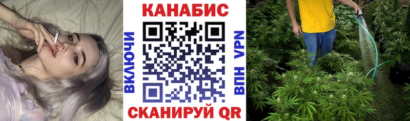 дарнет шоп площадка Telegram Бошки марихуана AK-47 Гатчина